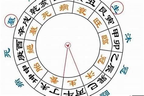 八字日元強弱|八字論命的核心——日干（日元、日主）